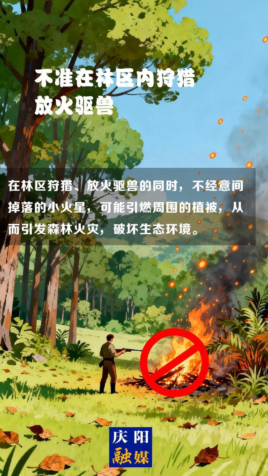 【微海報】森林防火知識科普?(13)丨不準在林區內狩獵放火驅獸