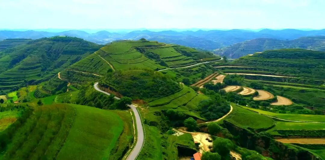 黨建紅引領生態綠 “4+3”機制繪就林區發展新圖景 ——慶城縣以黨建融合激活生態建設內生動力