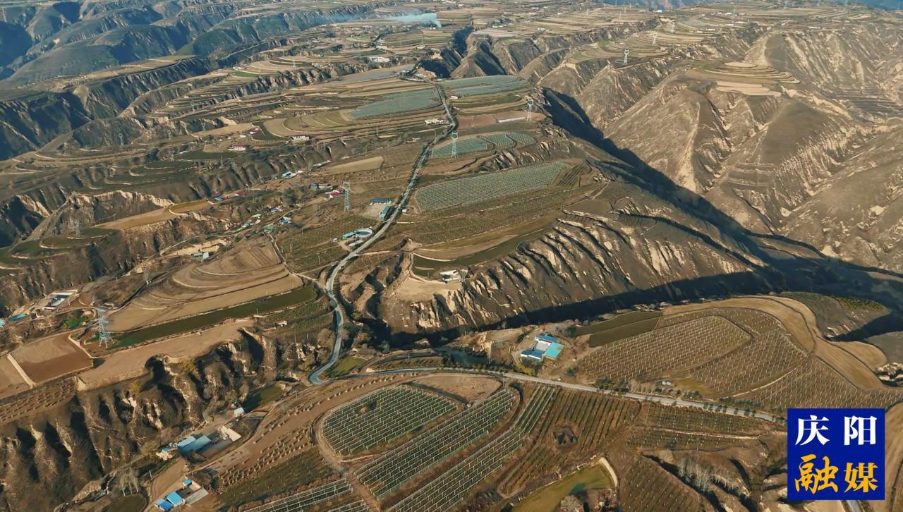 慶陽福地 天賜瑞果| 環縣“羊+果”模式鋪就生態致富路
