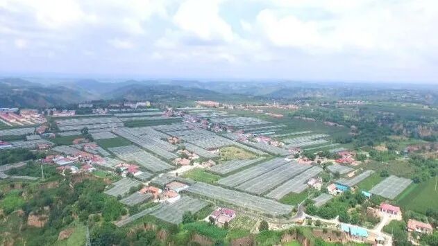 【“十四五”發展巡禮】合水縣店子鄉：產業提質民生改善 鄉村振興步履堅實