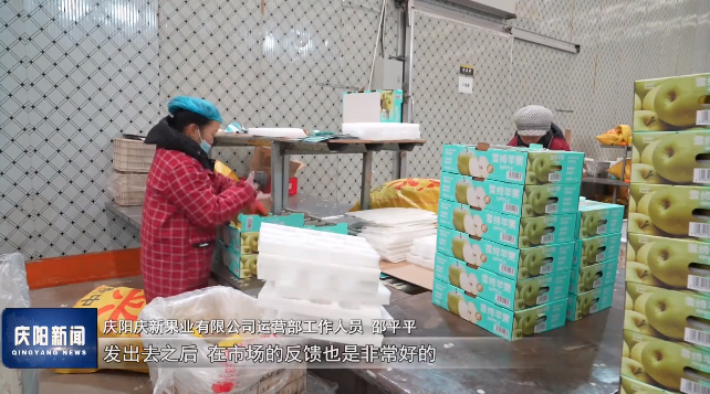 《慶陽新聞》2025年12月30日