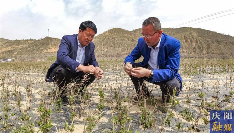 紅土鑄初心 藥業(yè)興民富——姚文智實干擔(dān)當(dāng)立潮頭