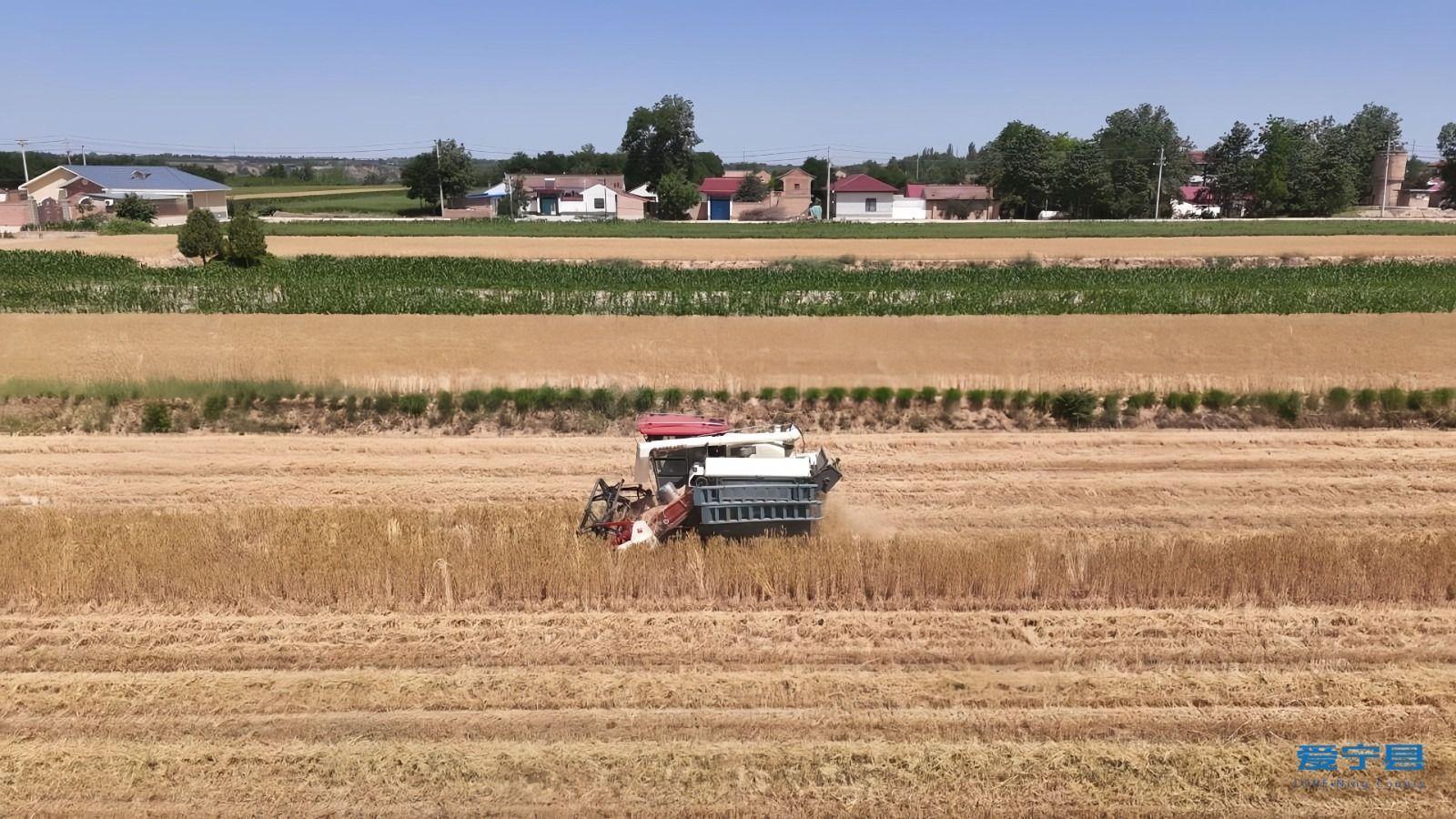 寧縣：糧安業興富民