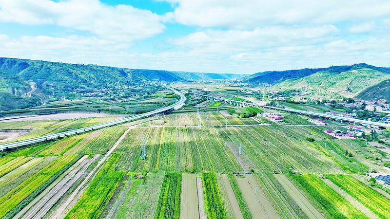 《隴東報》特刊·鄉村振興丨慶城縣：因地制宜做強鄉村特色產業