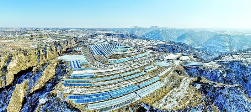 《隴東報》特刊·縣區觀察 | 冬閑人不閑 產業煥新顏 ——合水縣特色產業發展見聞