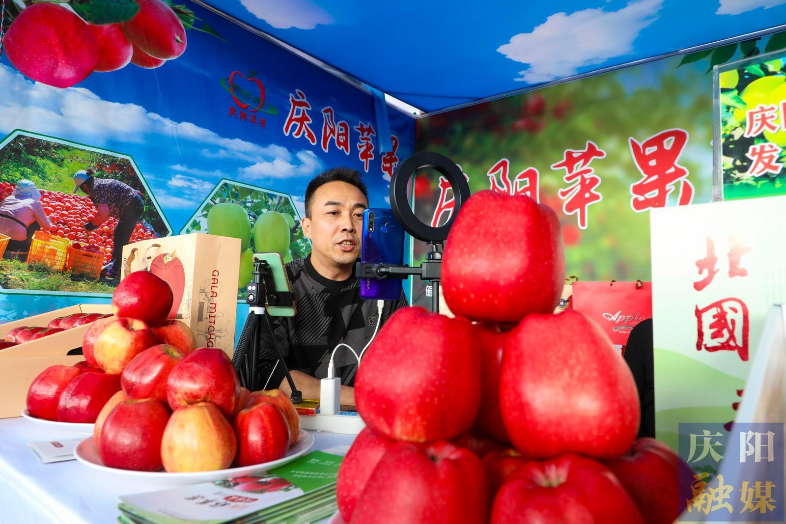慶陽(yáng)蘋果2025產(chǎn)季量銷價(jià)齊升 數(shù)據(jù)見(jiàn)證產(chǎn)業(yè)發(fā)展向新向好
