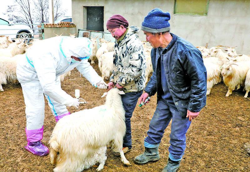 《隴東報》專版·鄉村振興 | 科技、黨建、工廠、產業齊發力，書寫慶陽鄉村振興新篇章！