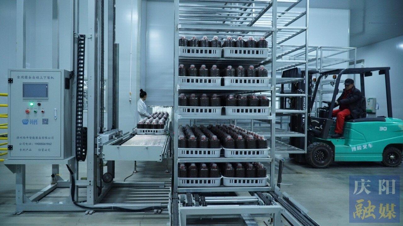 【新春走基層】從“閑”到“現” 寧縣太昌鎮廠房“變形記”