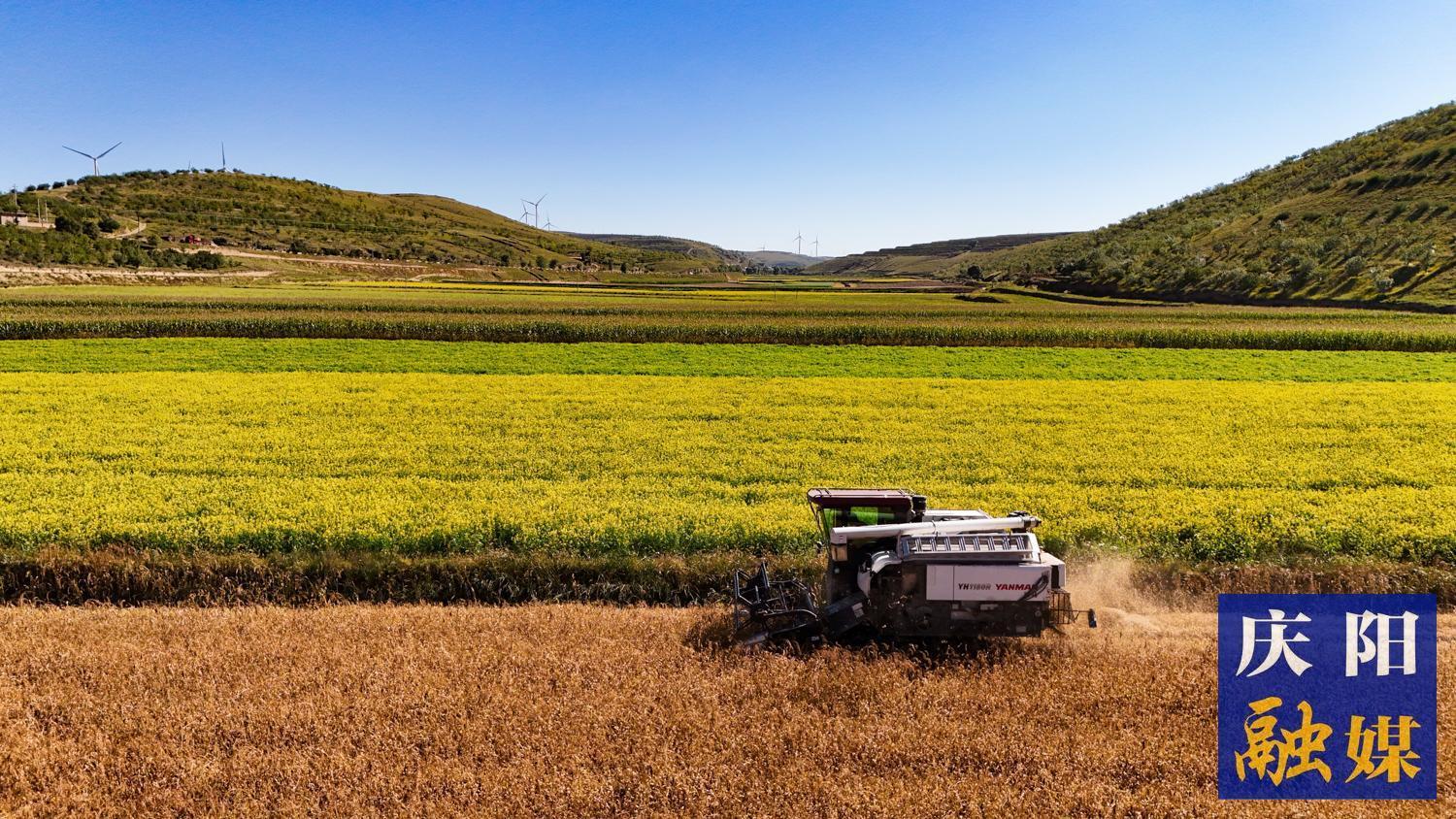 繪就鄉村振興新畫卷——慶陽市農業農村工作綜述
