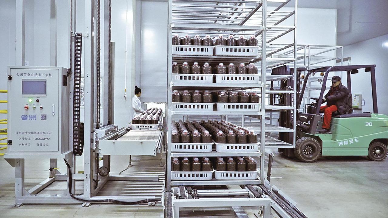 寧縣太昌鎮閑置廠房“變形記”