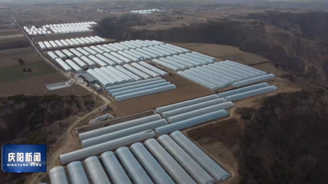 《慶陽新聞》2026年3月5日