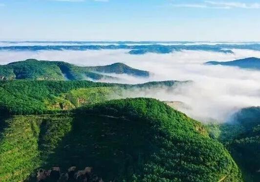 刃作 | 西峰區(qū)新建小學(xué)學(xué)生劉延棟：子午嶺深處的家