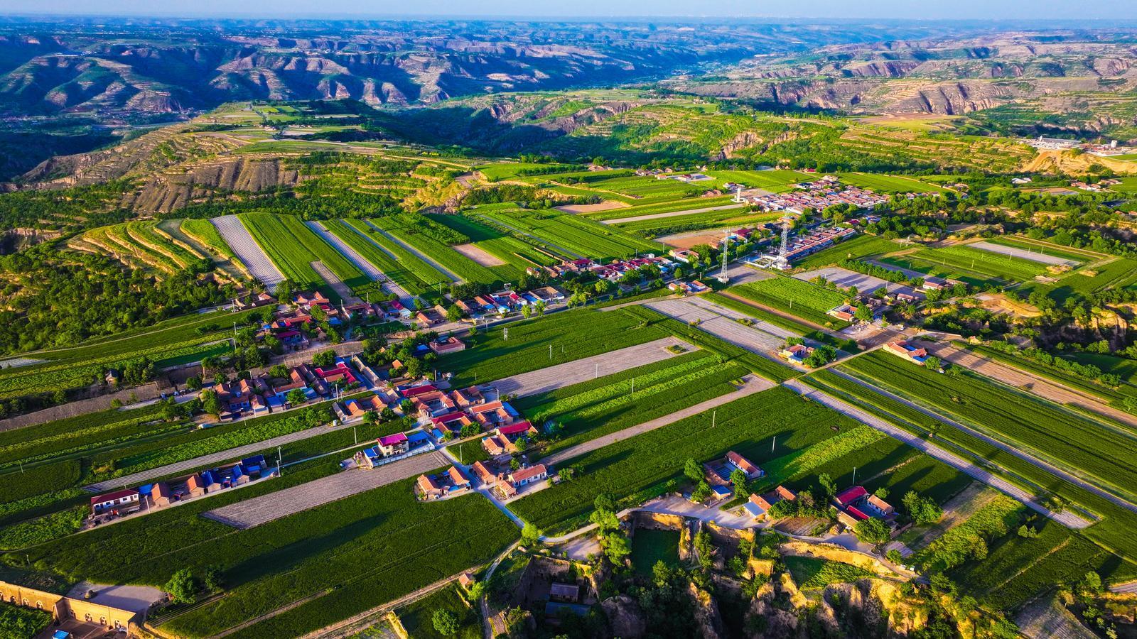 鎮原：美麗鄉村建設繪就美好圖景