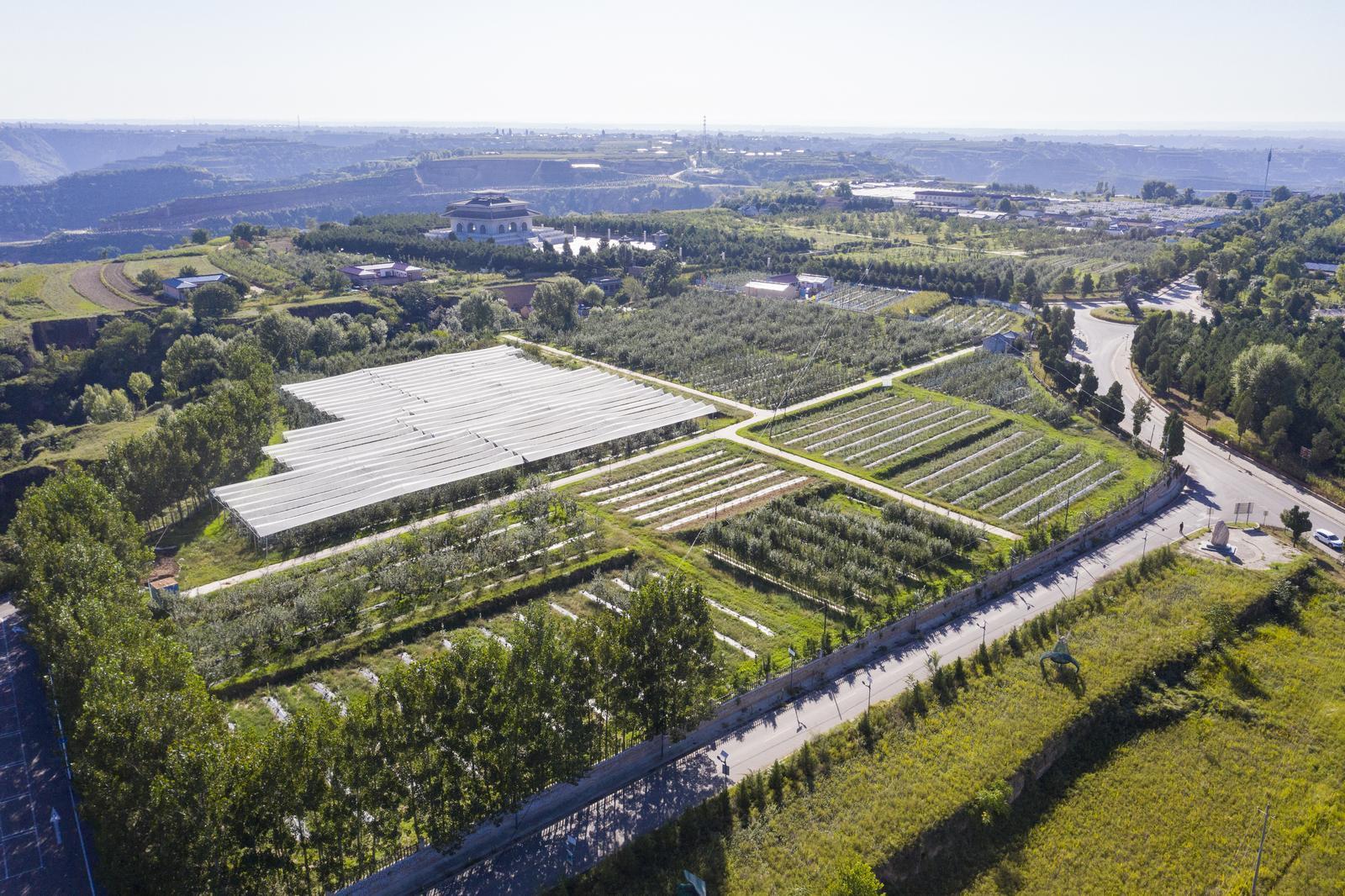 聚力蘋果產(chǎn)業(yè)提質(zhì)增效 繪就鄉(xiāng)村振興壯美畫卷——慶城縣召開農(nóng)村工作會議暨蘋果產(chǎn)業(yè)高質(zhì)量發(fā)展大會
