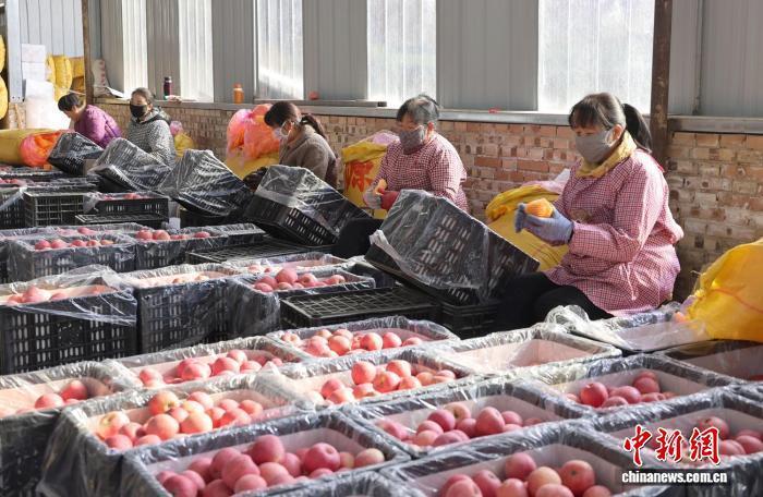 從保“鮮”到傳“香” 黃土塬婦女巧手撐起鄉村產業“半邊天”