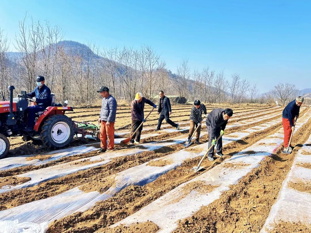 【春耕備耕忙 播種新希望】合水縣固城鎮：人勤春早農事忙 春耕管護掀熱潮