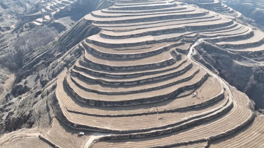 新城鎮 ：人勤春早啟新程 多點發力抓春耕