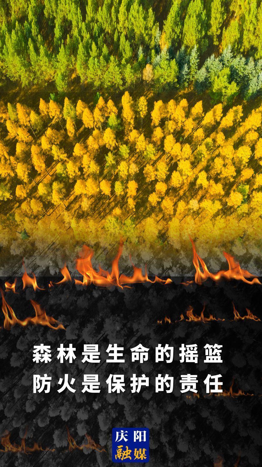 【微海報】森林是生命的搖籃 防火是保護的責任