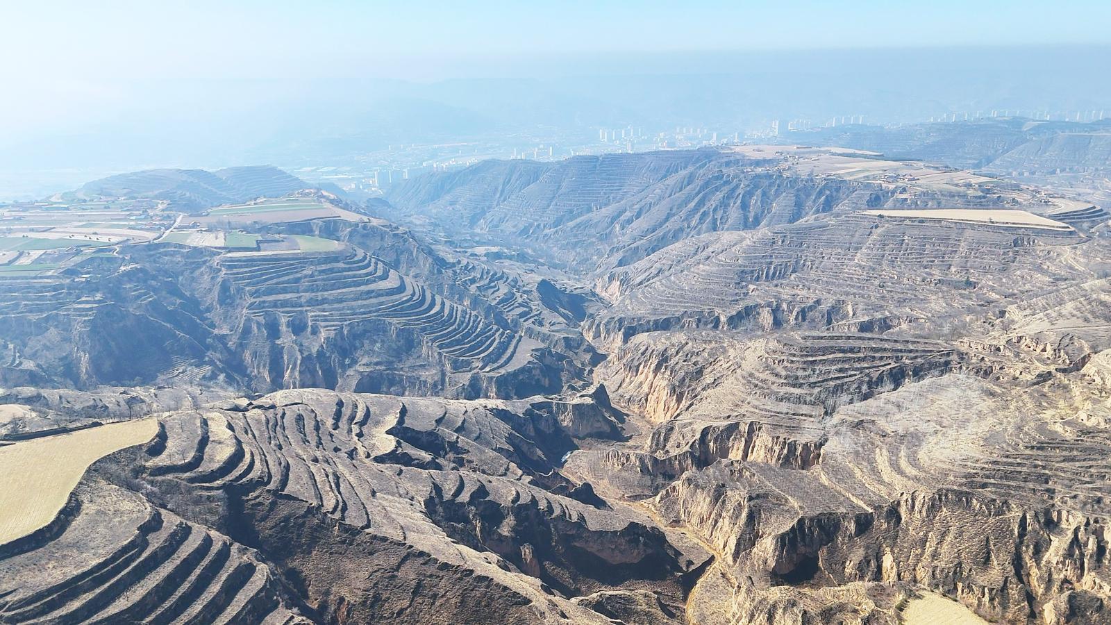 黃河“幾字彎”攻堅(jiān)戰(zhàn)：慶陽的“綠進(jìn)沙退”新答卷