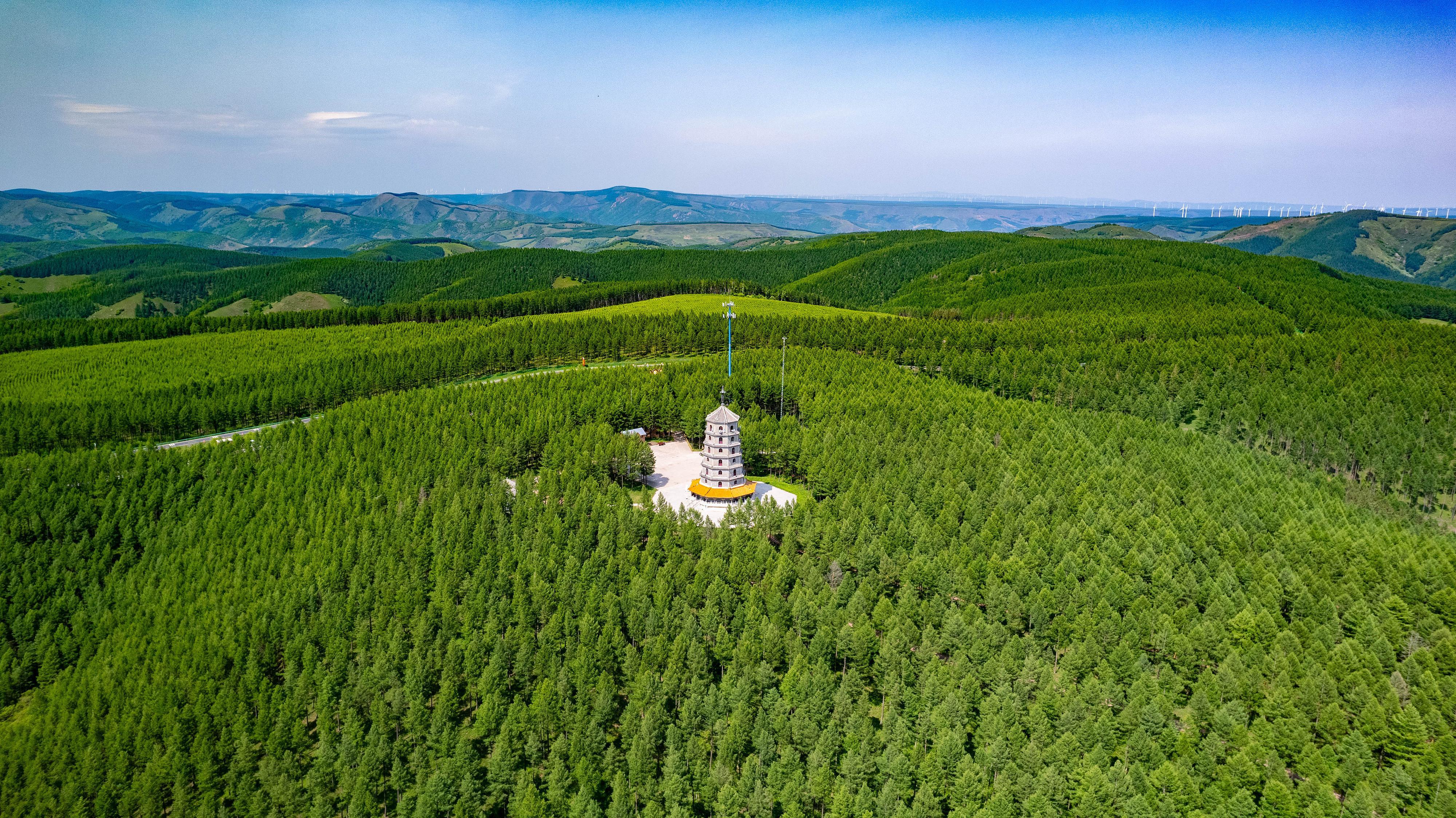 天天學(xué)習(xí)｜不斷增厚我們的“綠色家底”