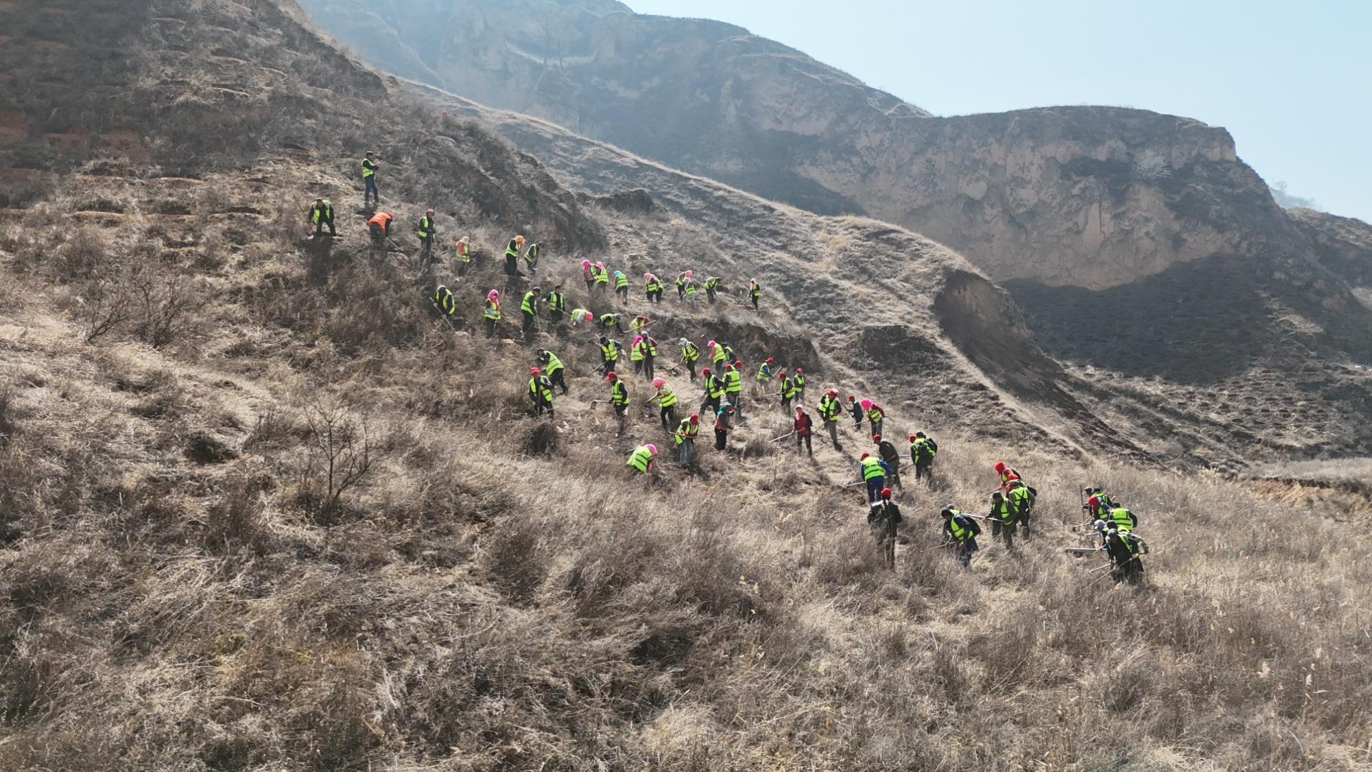 黃河“幾字彎”攻堅戰：甘肅慶陽的“綠進沙退”新答卷
