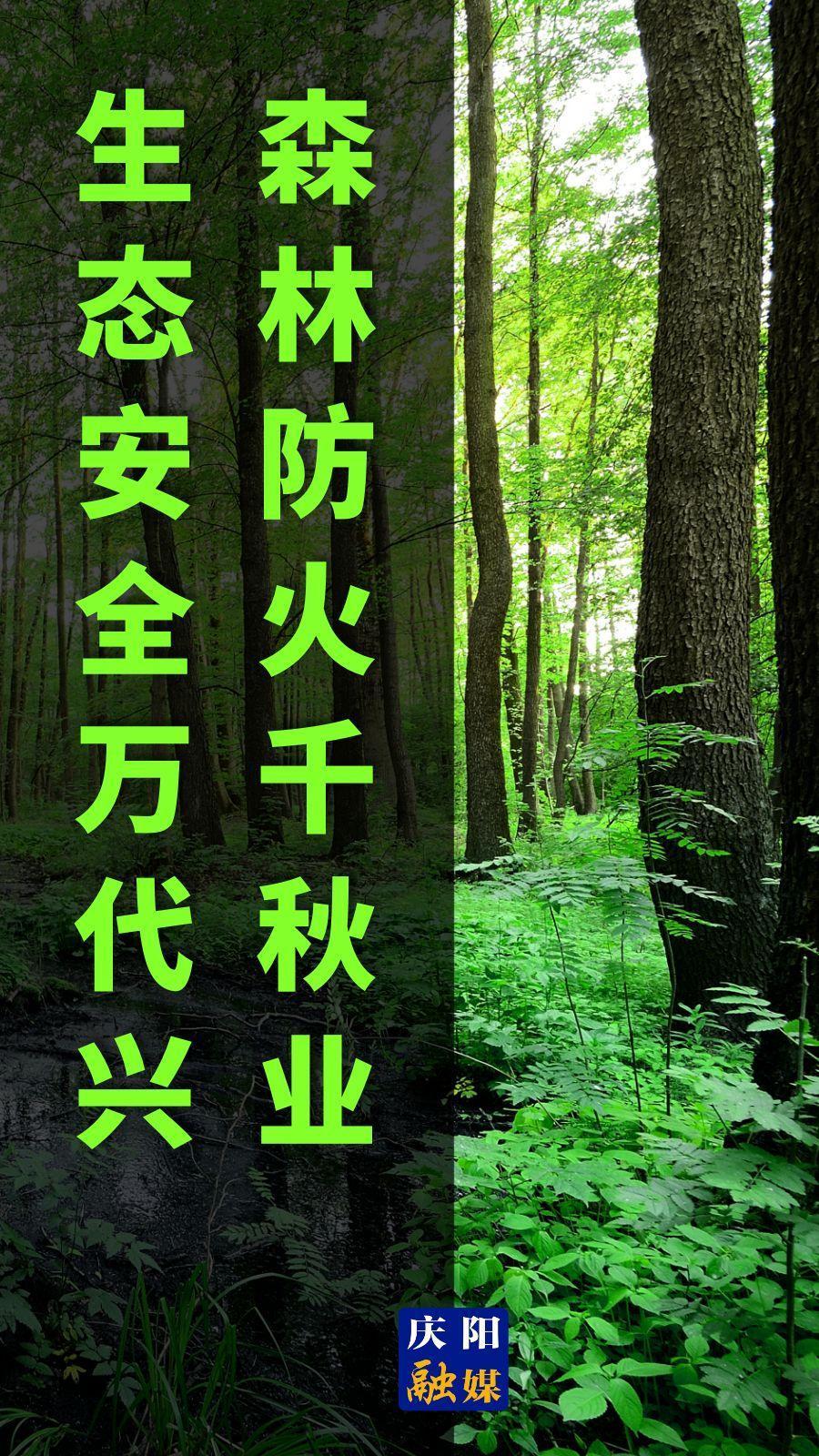 【微海報】森林防火千秋業 生態安全萬代興