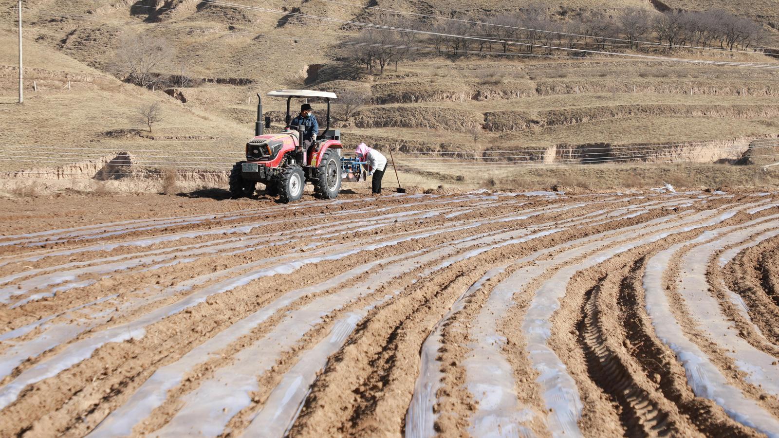 【春啟隴東 耕繪新篇】環縣車道鎮：多元施策繪春耕 多措并舉促增收
