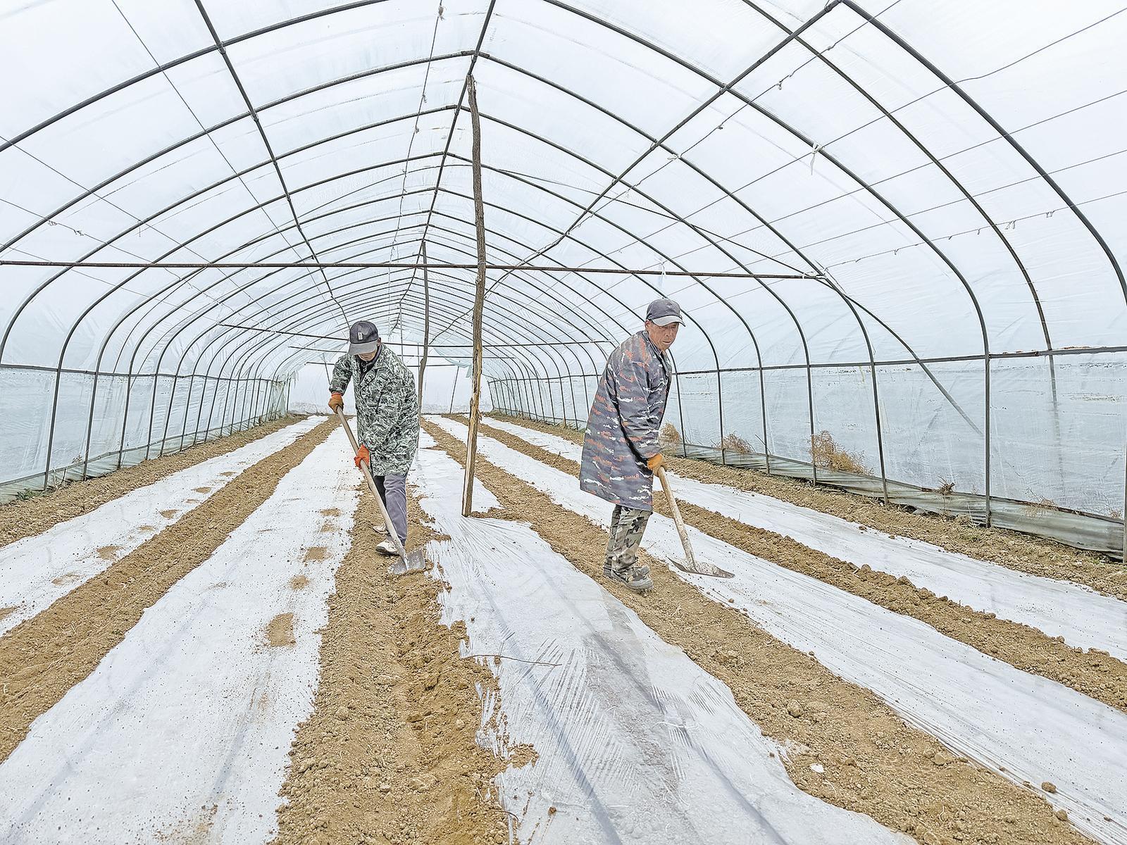 【春啟隴東 耕繪新篇】西峰區(qū)顯勝鄉(xiāng)：人勤春早農(nóng)事忙