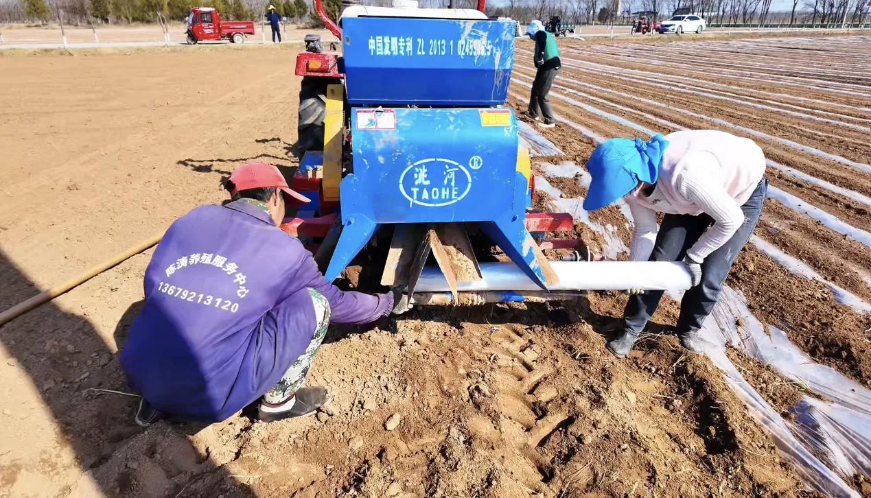 中村鎮：搶抓墑情促春耕 頂凌覆膜保豐收