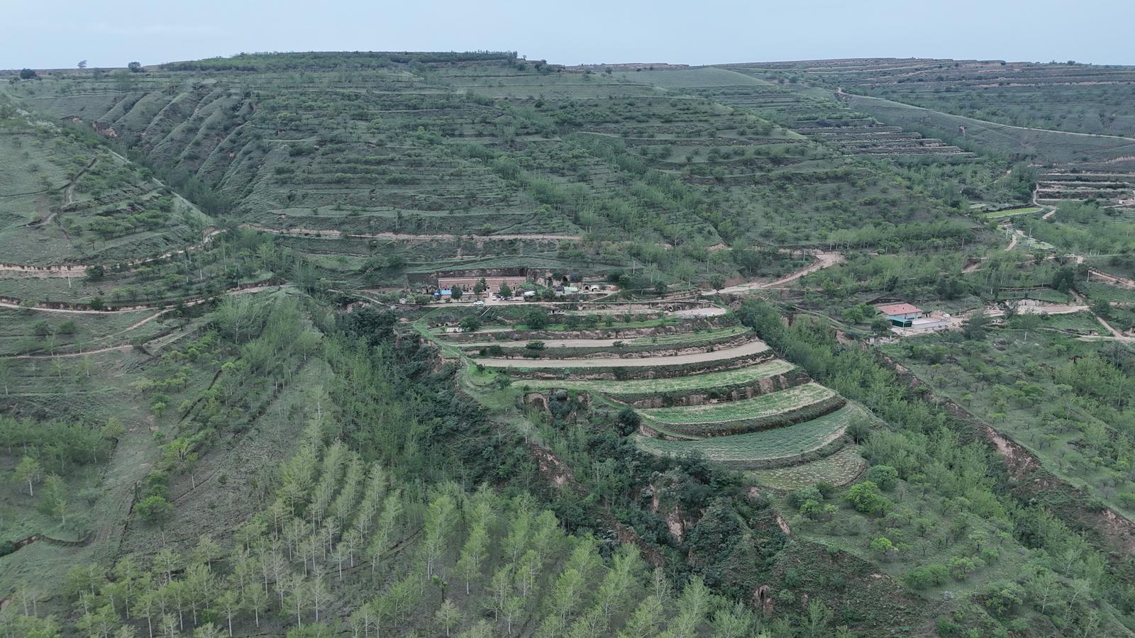 環縣：以林長制推動生態建設提質增效