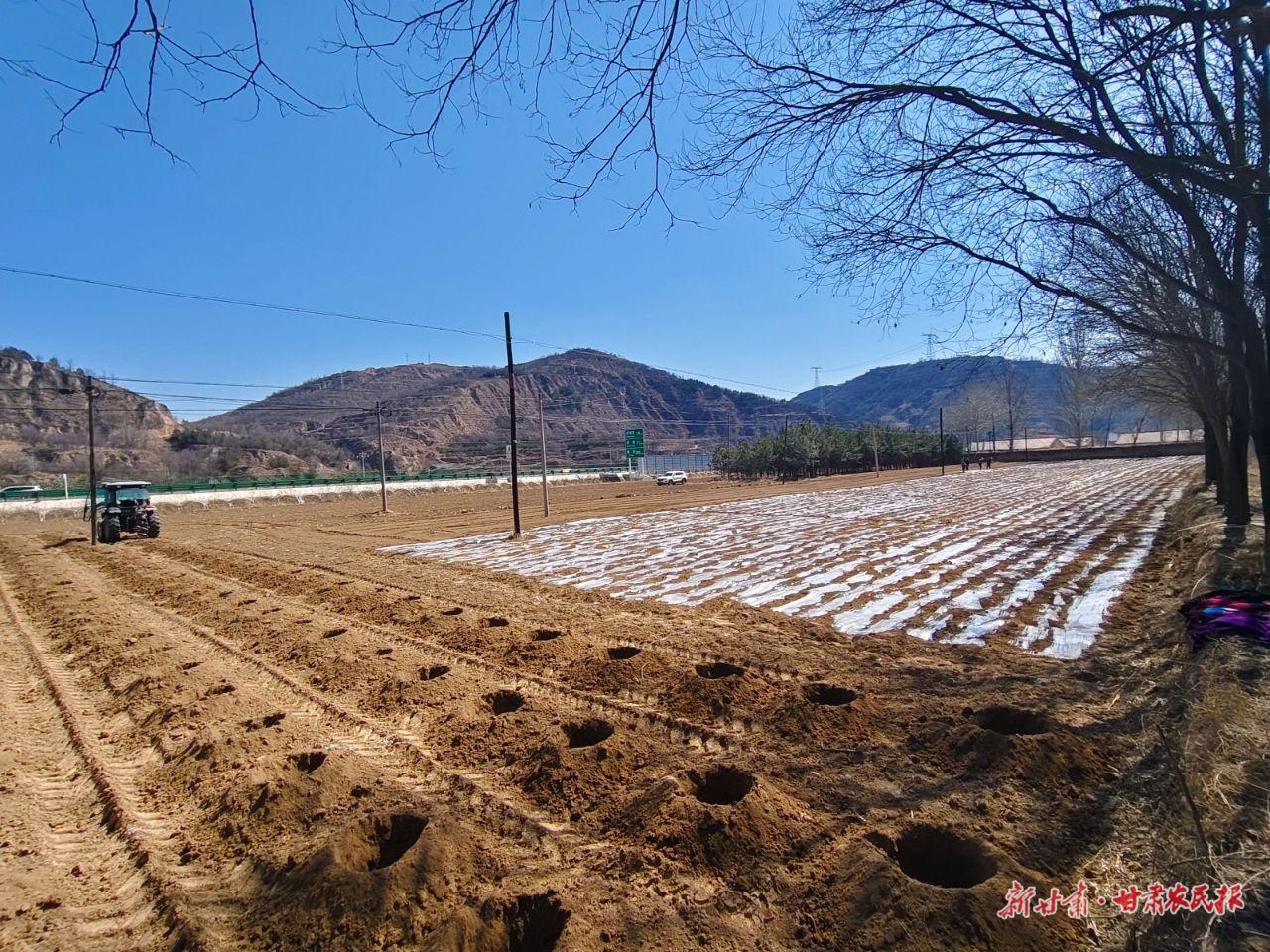 華池：春耕萬象繪新景