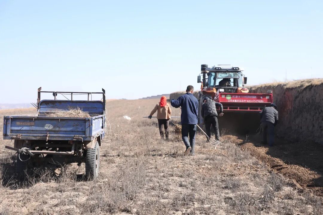 環縣小南溝鄉：實干爭春早 繪就好“豐”景