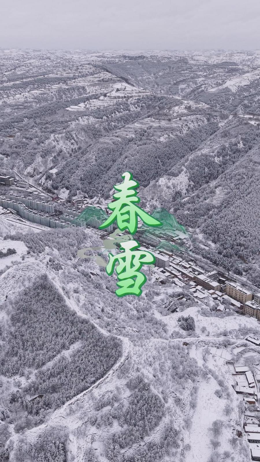 白雪卻嫌春色晚，故穿庭樹作飛花——三月春雪