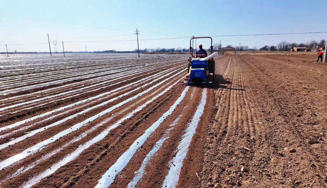 【春啟隴東 耕繪新篇】寧縣中村鎮：搶抓墑情促春耕 頂凌覆膜保豐收