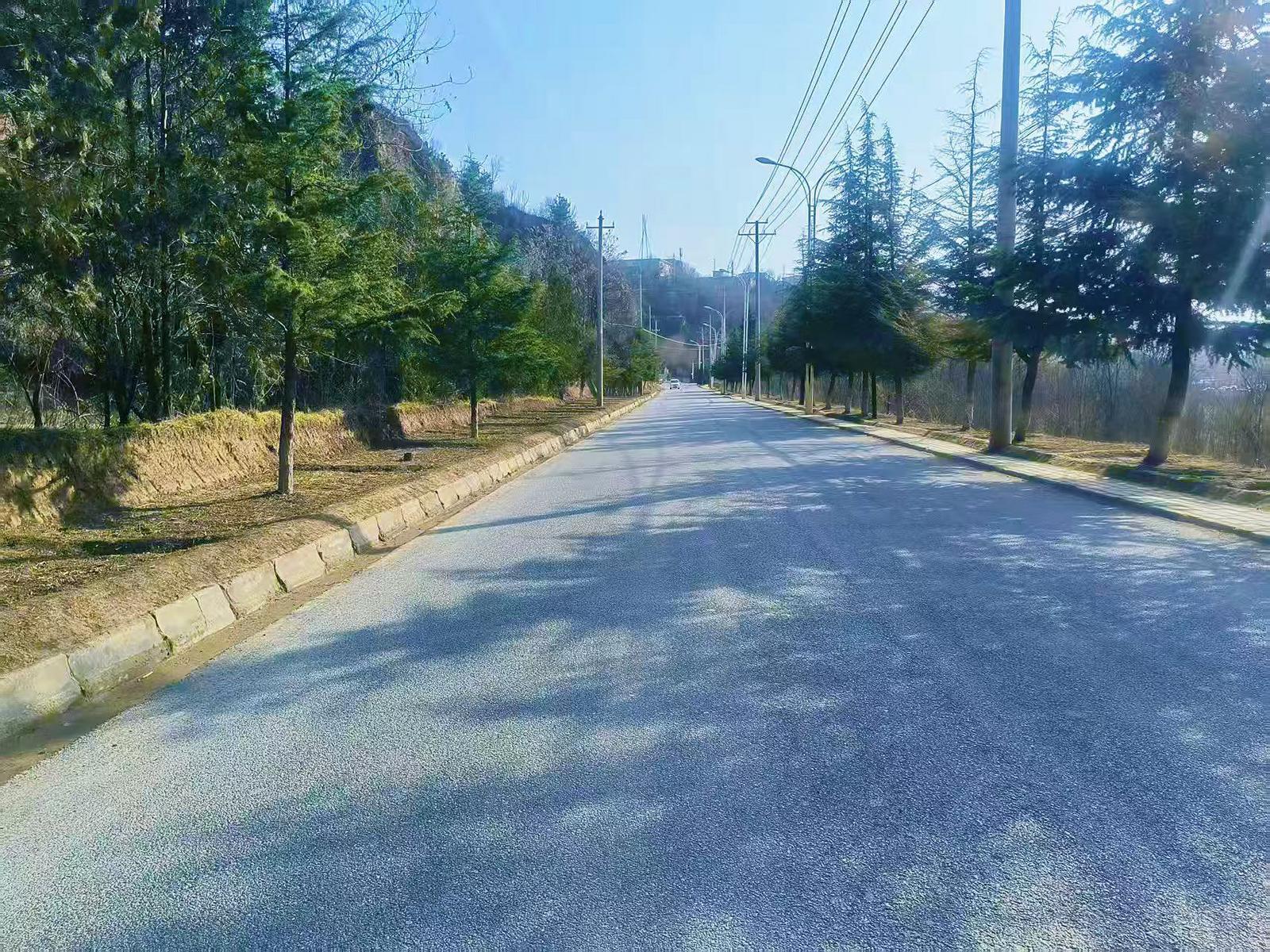 新寧鎮：以“首善之為”繪就寧縣“首善之地”春日實景圖