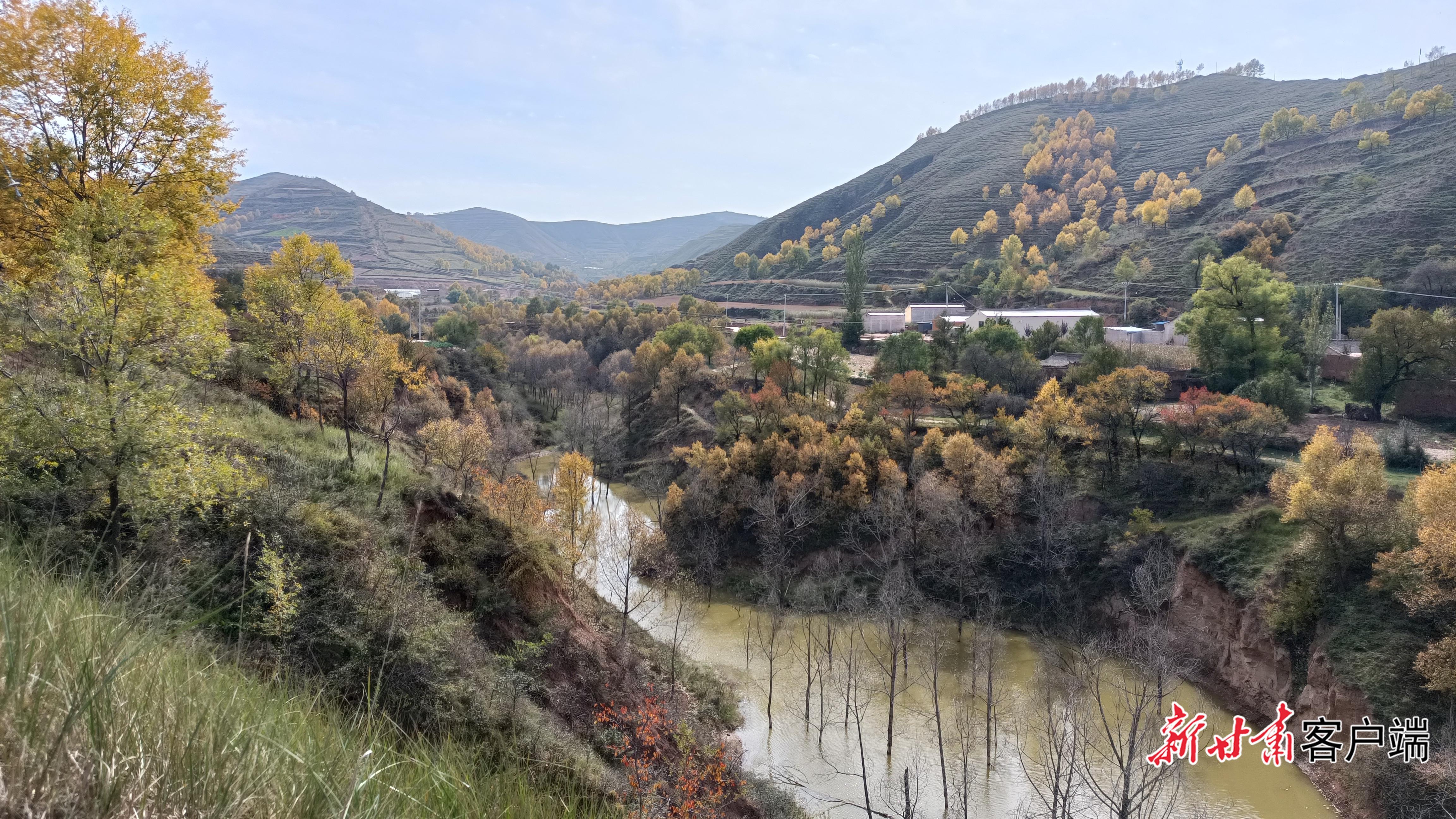 黃土溝壑筑“綠壩” 多元管護(hù)惠民生——定西市安定區(qū)激活淤地壩生態(tài)富民新動(dòng)能