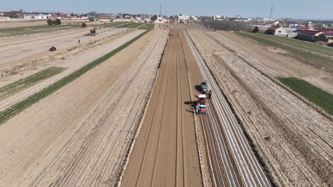 鎮(zhèn)原縣廟渠鎮(zhèn)：春季農(nóng)事全面鋪開 穩(wěn)糧增收美環(huán)境