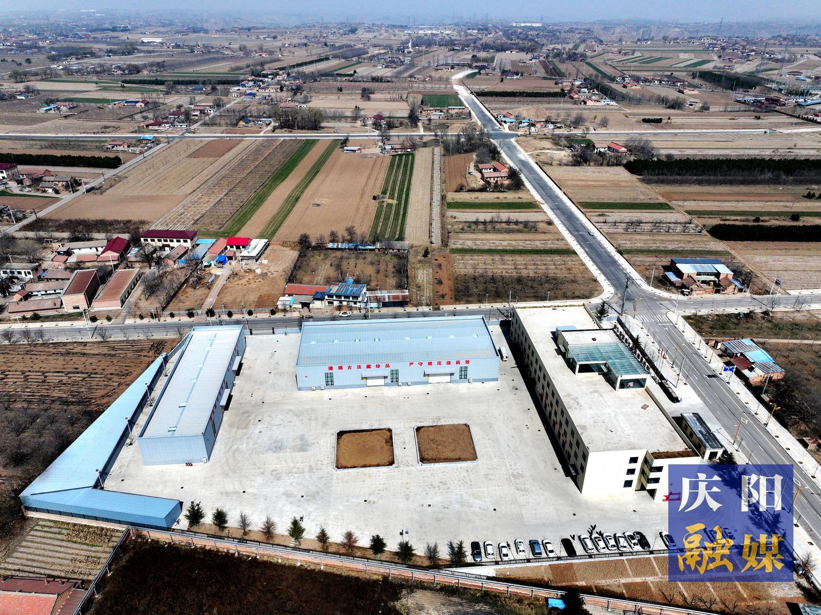 【攝影報道】慶陽神州同泰藥業：年產能5000噸中藥飲片生產線加速運轉