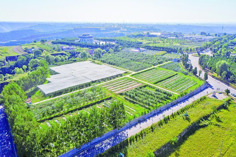 《隴東報》特刊·縣區觀察 | 慶城：項目建設搶春早 鄉村振興啟新程