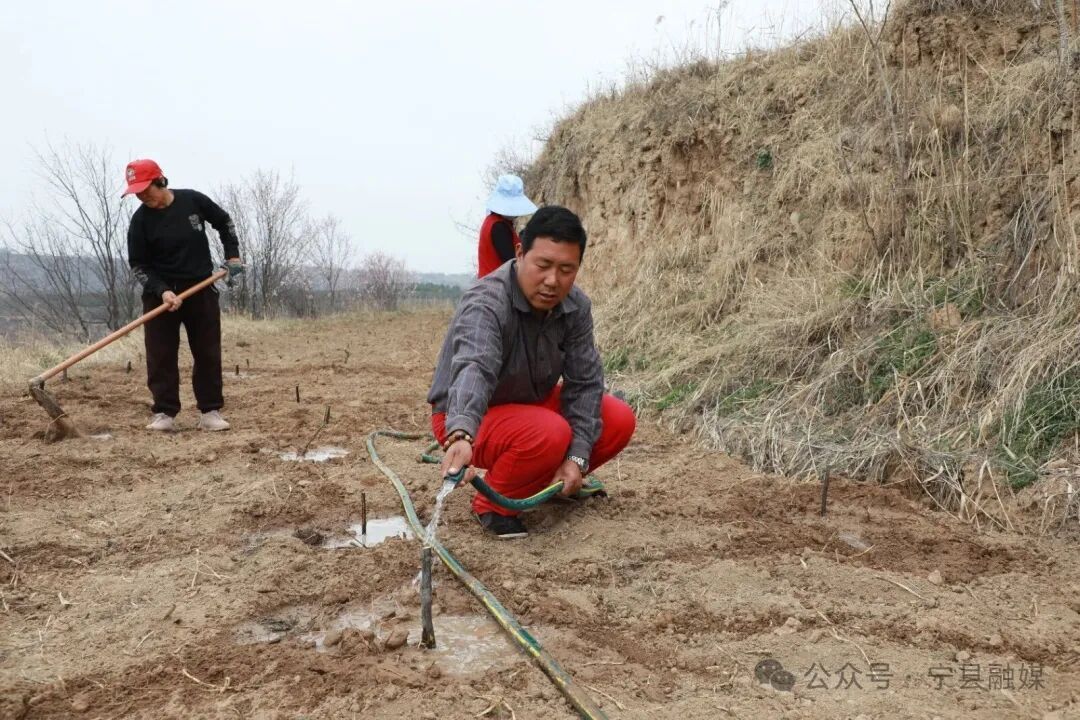 李普鋒：荒溝栽植“苦”藥材 返鄉(xiāng)開創(chuàng)“甜”路子