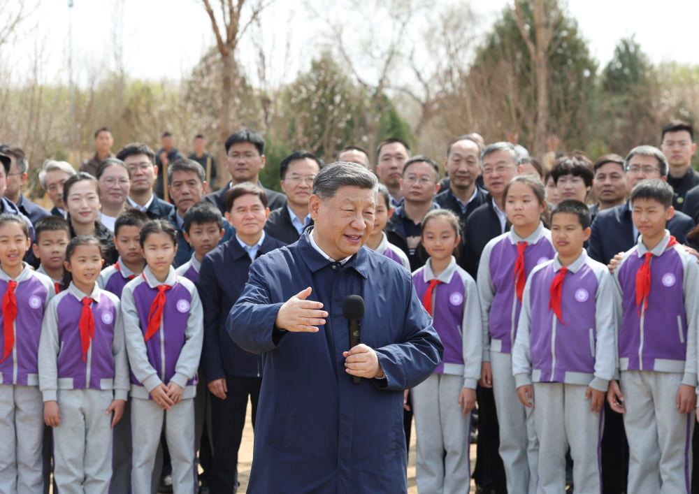 時(shí)政微觀察丨草木植成，國(guó)之富也