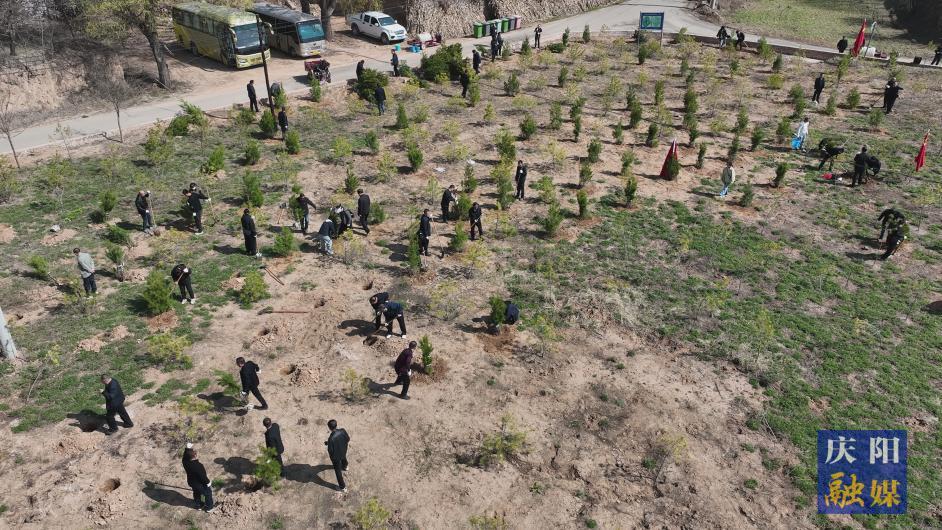 慶陽市水保局黨總支與西峰區水保局黨支部聯合開展主題黨日活動