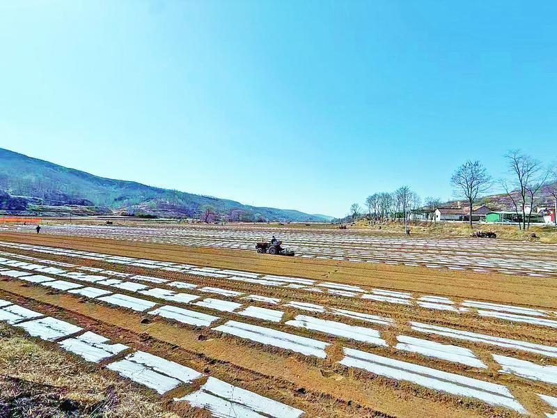 《隴東報》特刊·縣區觀察 | 正寧：重點項目建設成績亮眼 書寫鄉村振興的新篇章