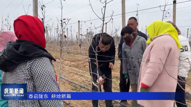 《慶陽新聞》2026年4月4日