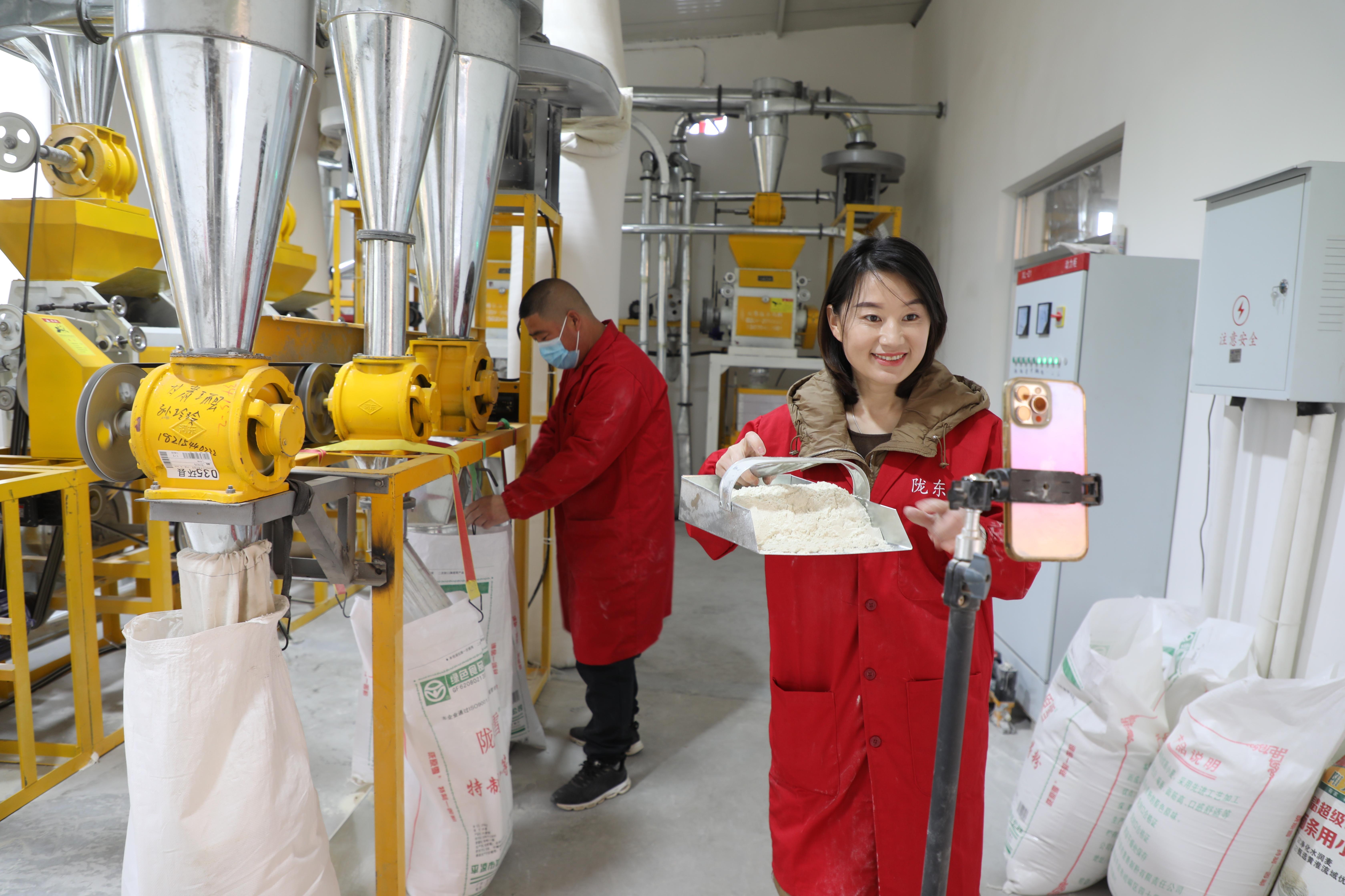 環縣 “紅色引擎”激活“云上”活力