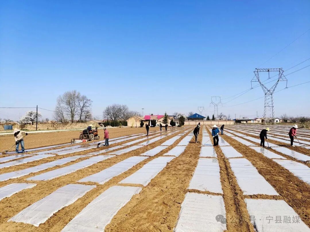 瓦斜鄉：春耕春管忙 沃野繪“豐”景