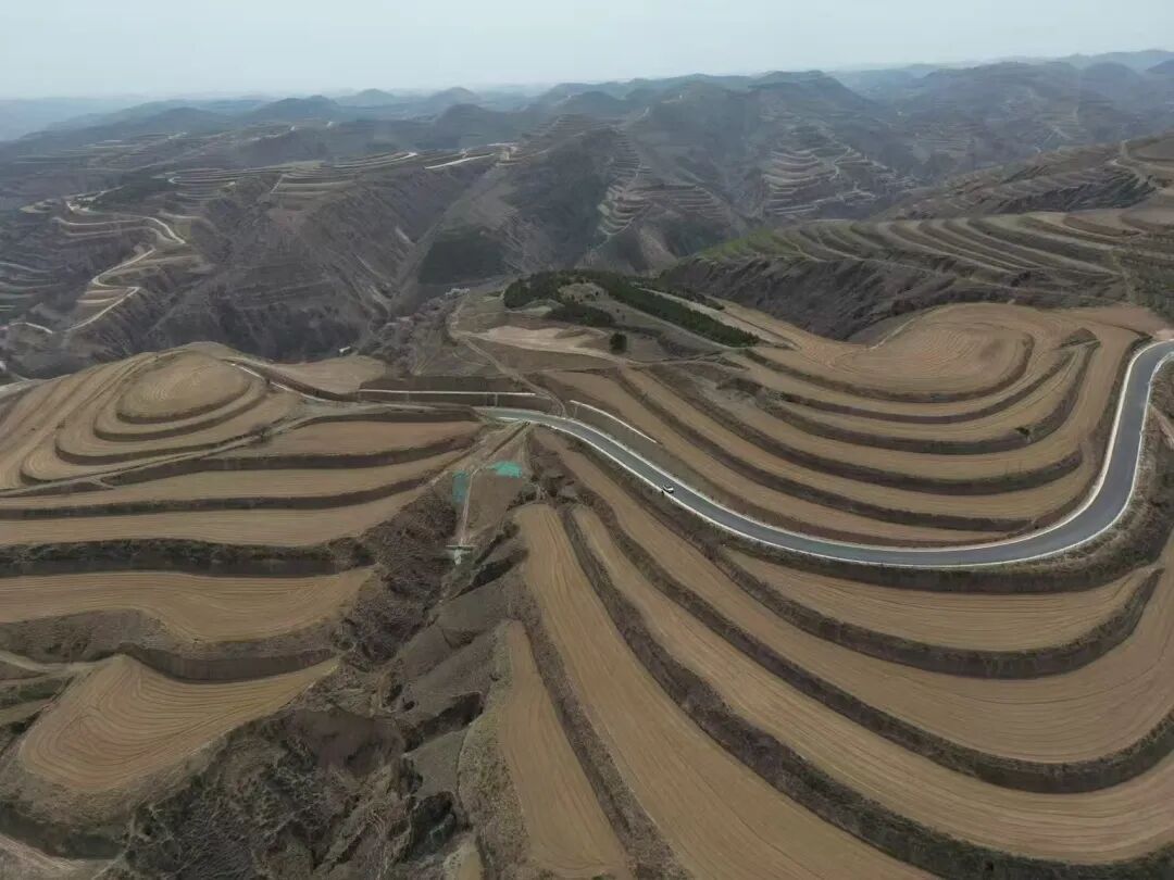 華池縣白馬鄉打好產業“組合拳”繪就振興新畫卷