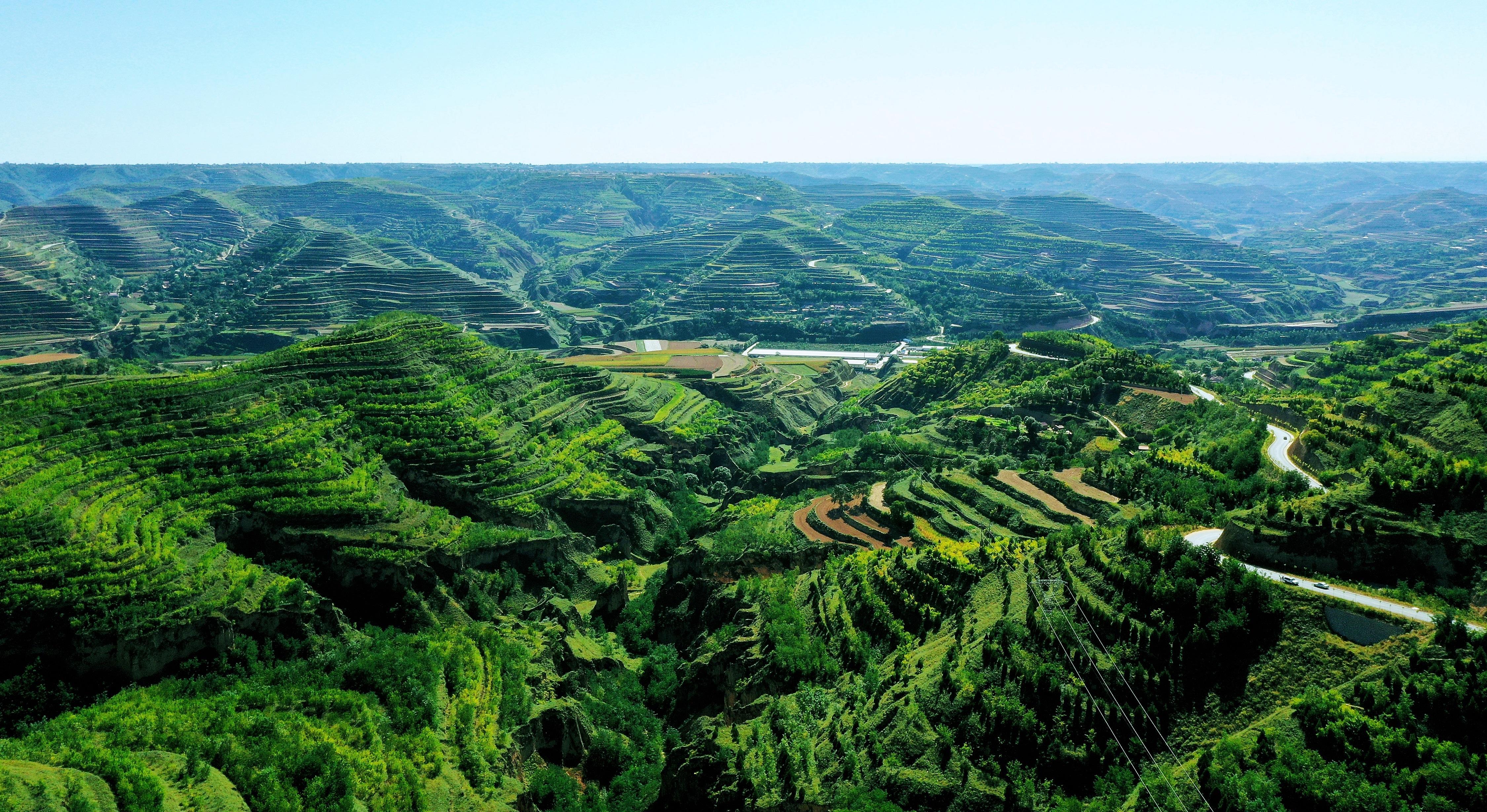 鎮原縣  推動國土綠化繪就生態建設底色