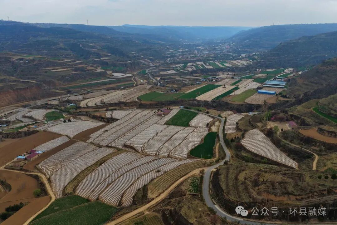 環縣合道鎮：春耕多點發力 筑牢豐收根基