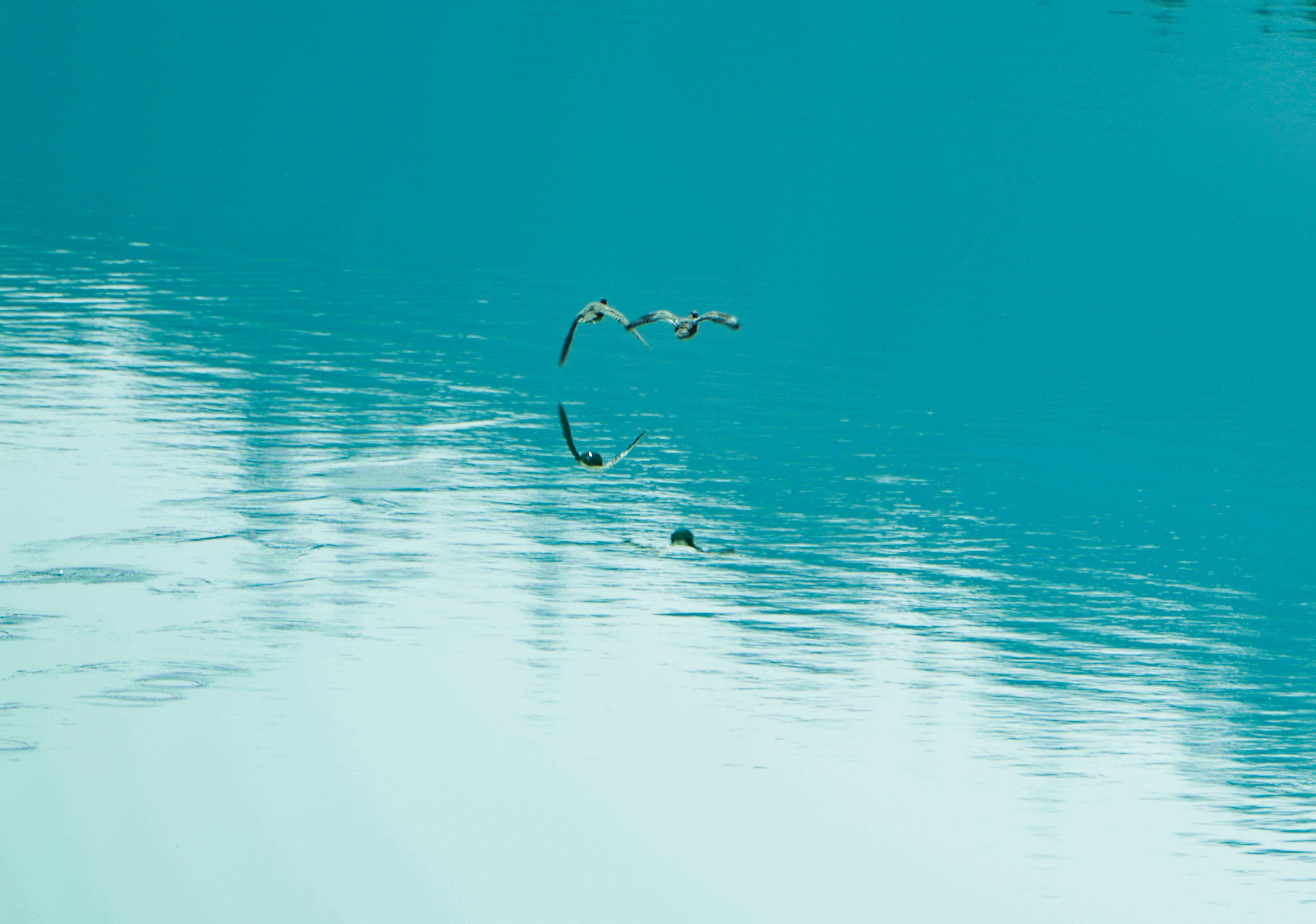 【攝影報道】環(huán)縣喬兒溝水庫：一汪碧水映春光